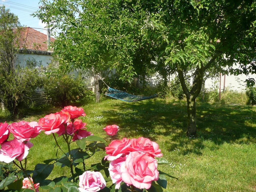 Guest House Tisza Haz Senta Luaran gambar